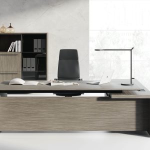 UFFICIO DIREZIONALE LASEN