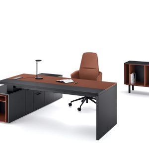 UFFICIO DIREZIONALE SEL