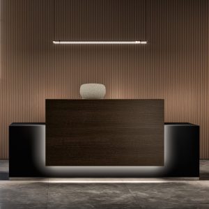 BANCONI RECEPTION LUCE