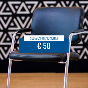 Sedia ospite su slitta